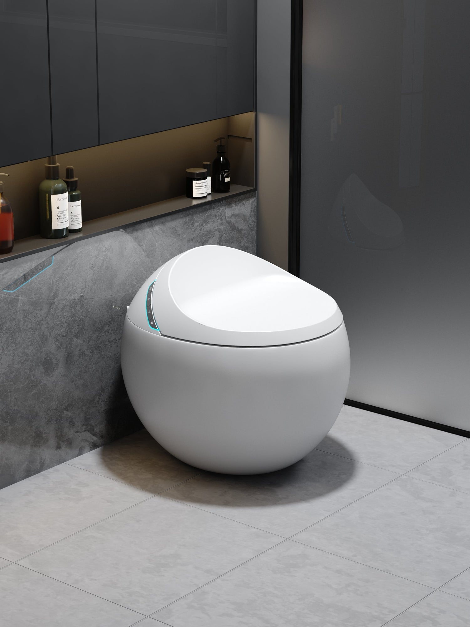 Toilette japonaise Hoshi