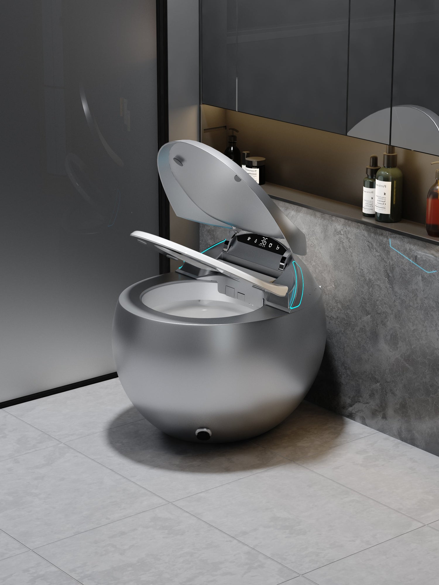Toilette japonaise Hoshi