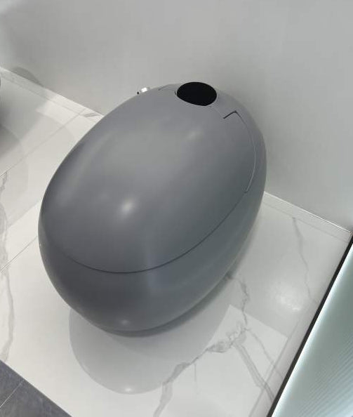 Toilette japonaise Dojo