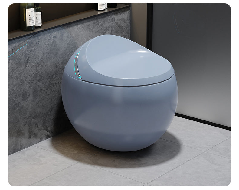 Toilette japonaise Hoshi
