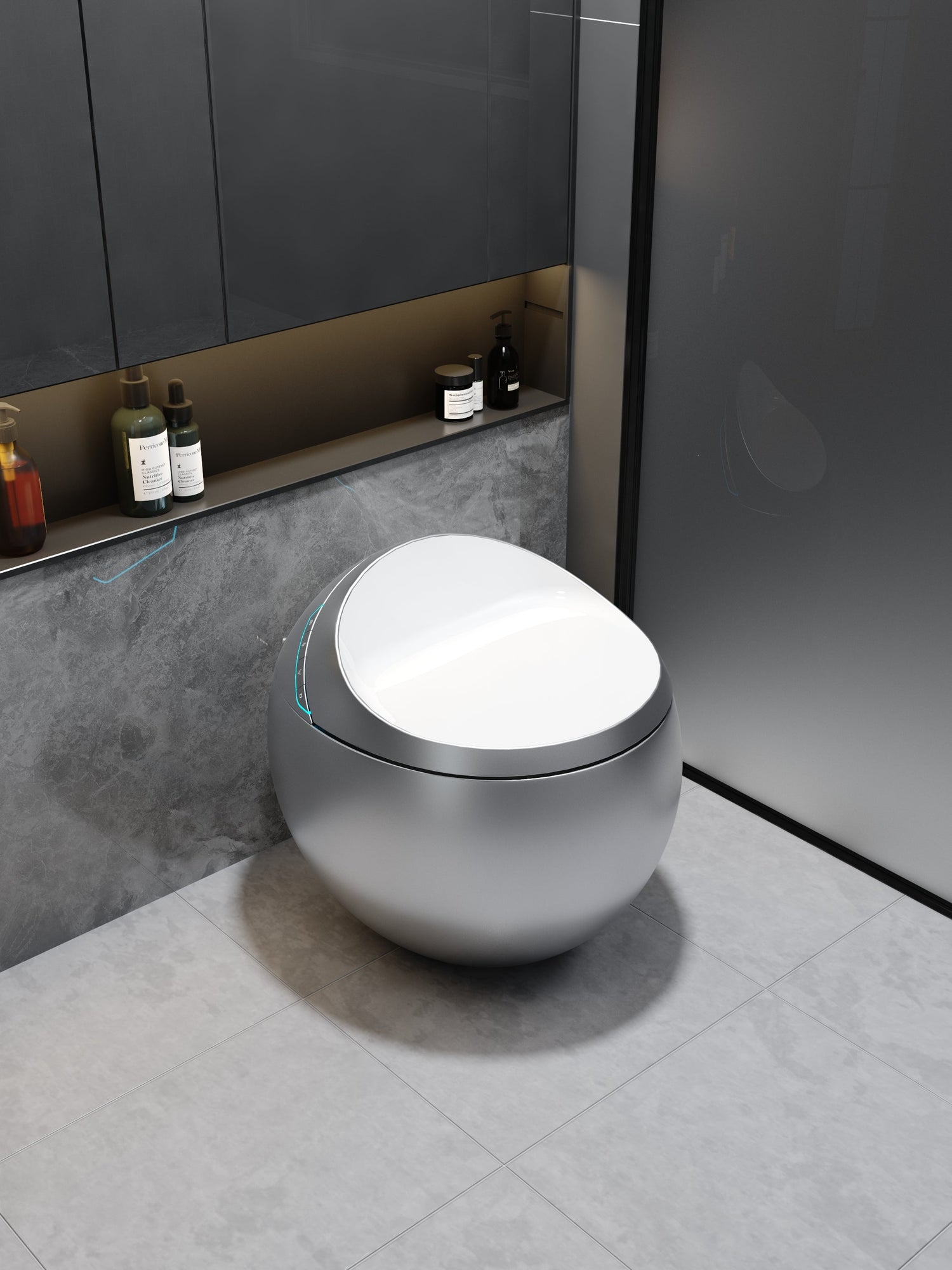 Toilette japonaise Hoshi