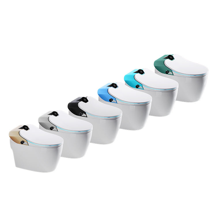 Toilette japonaise Samouraï