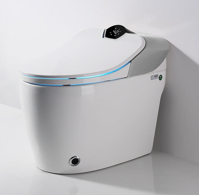 Toilette japonaise Samouraï