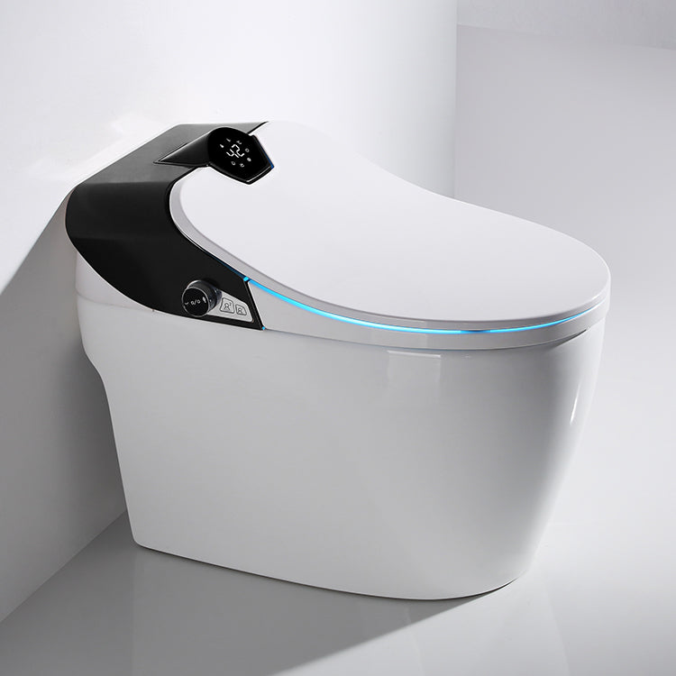 Toilette japonaise Samouraï