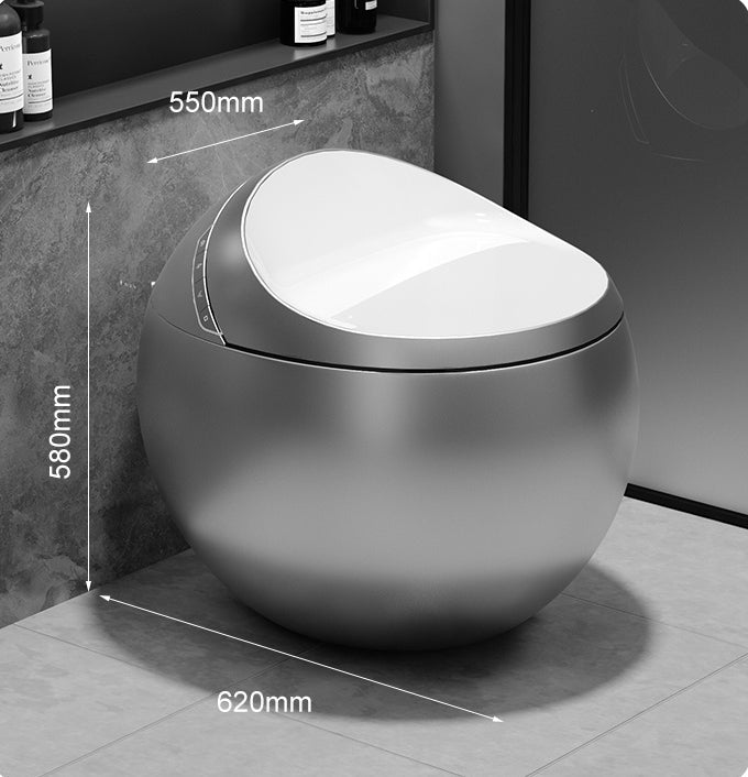 Toilette japonaise Hoshi