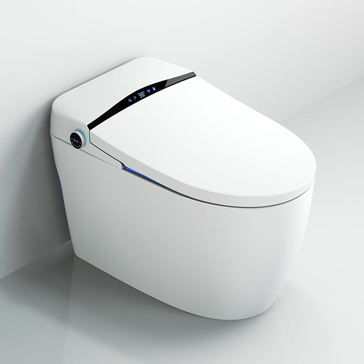 Toilette japonaise Ninja