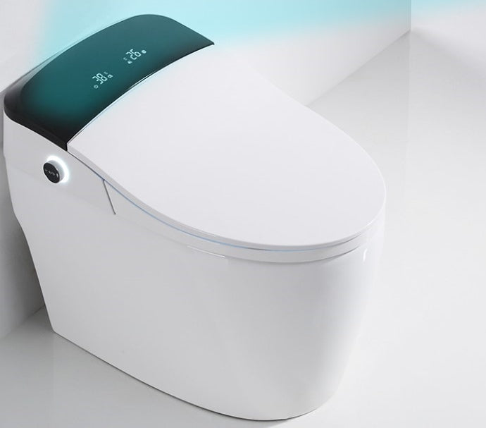 Toilette japonaise Daimyo