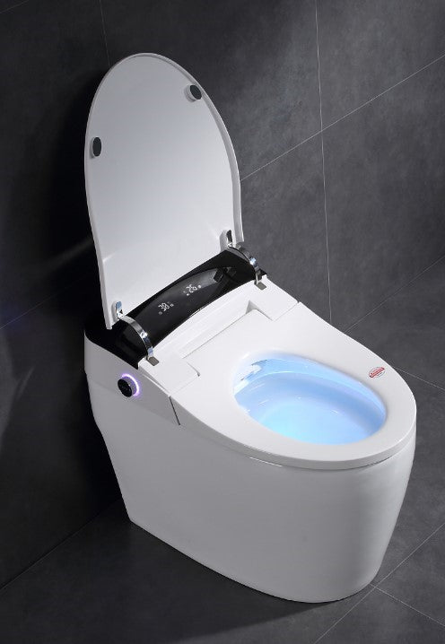Toilette japonaise Daimyo