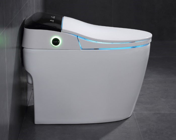 Toilette japonaise Daimyo